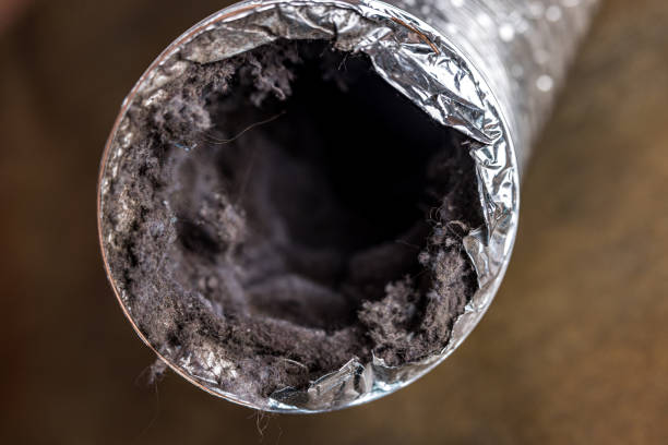 Best Ventilation Cleaning Services  in Perryton, TX