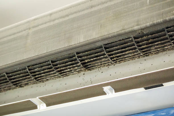 Best HVAC System Cleaning  in Perryton, TX
